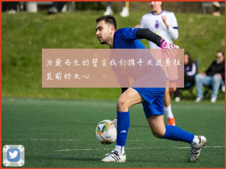 为爱而生的誓言我们携手共进勇往直前的决心